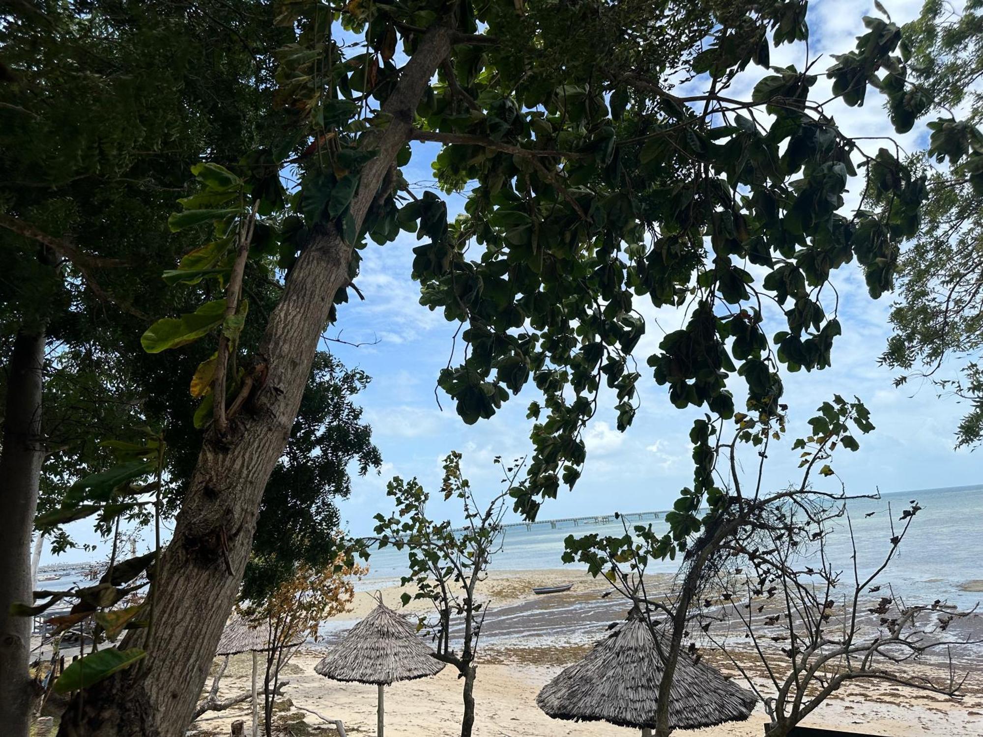 Maweni Beach Bungalows Kilindoni Exterior foto